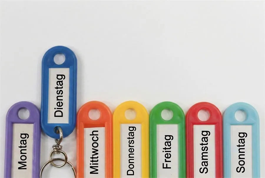 Organisation: Rollen, Führungsstruktur und Wissensträger
